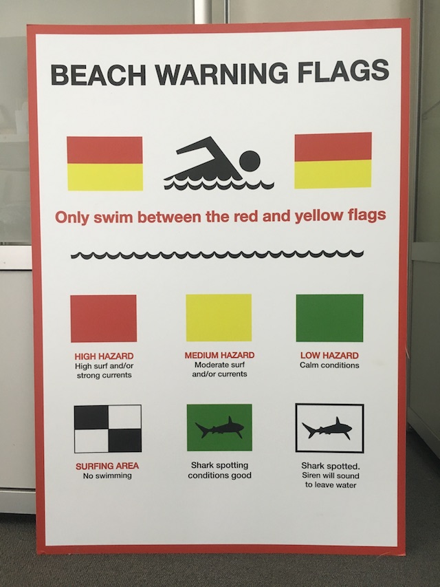 SIGN - Beach Warning Flags PVC 59 x 84cm 