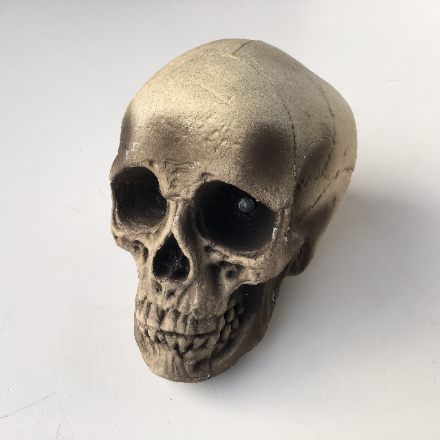 SKULL, Standard Size - Assorted Styrene