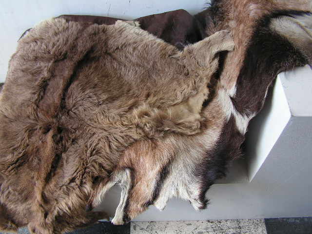 ANIMAL HIDE, Assorted