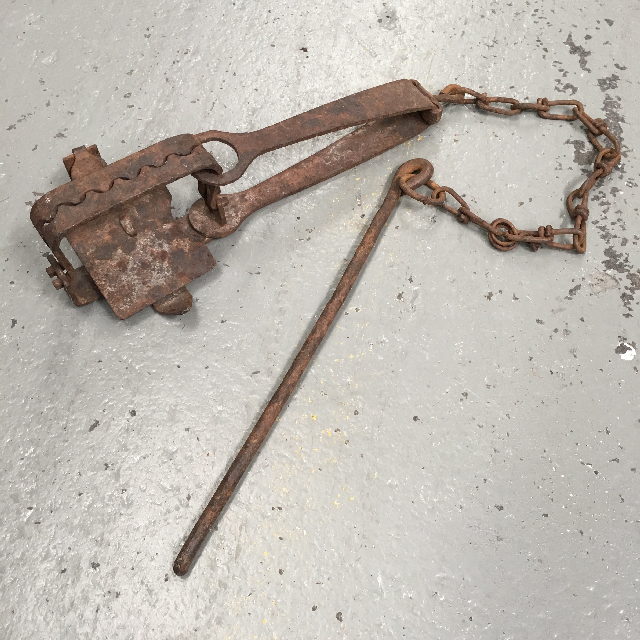 ANIMAL TRAP, Rabbit Trap 30cm Long