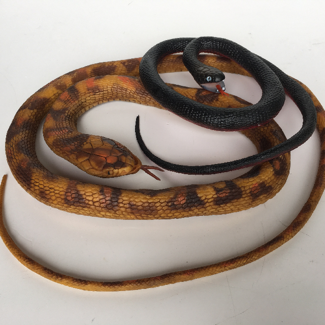 SNAKE, Small - Assorted