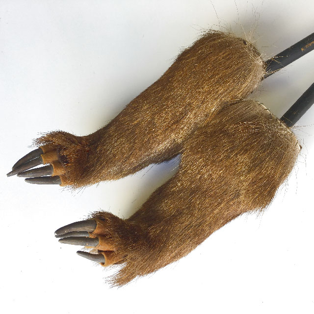 TAXIDERMY, Wombat Paw