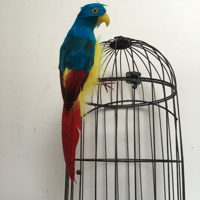 BIRD, Parrot - Small