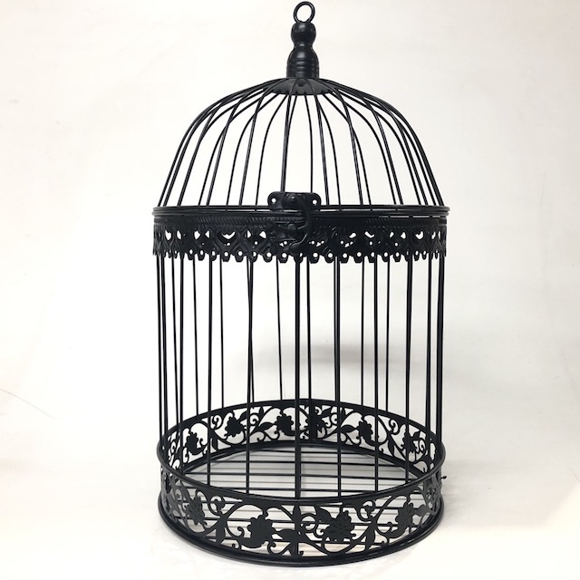Birds and Birdcages