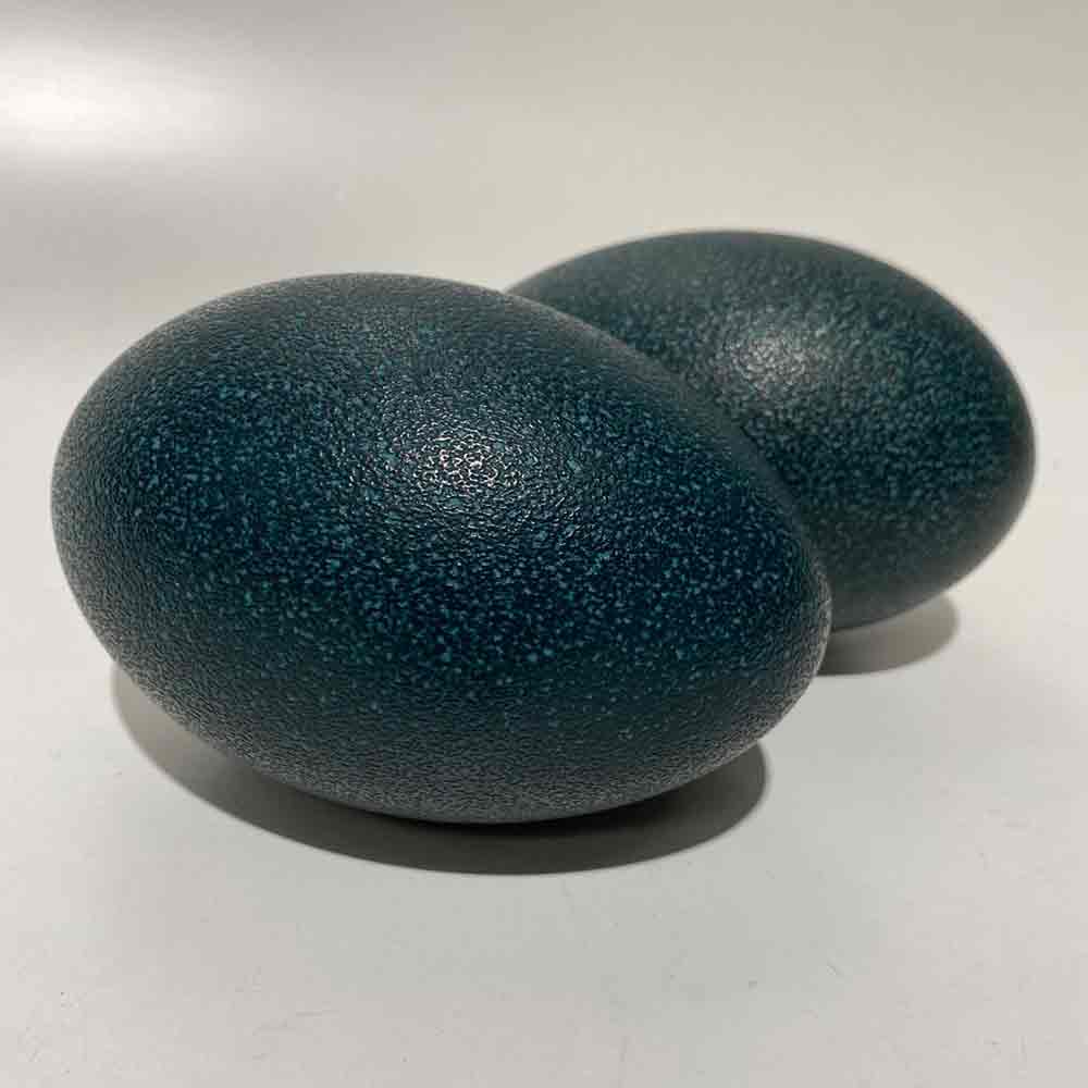 EGG, Ostrich - Painted Teal Blue Green