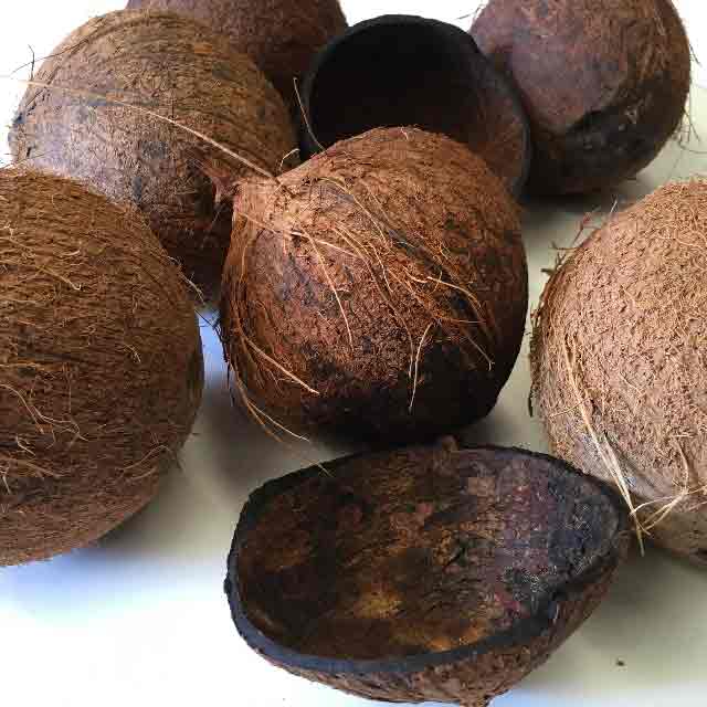 FRUIT, Coconut Whole & FRU0009 - FRUIT, Coconut Half