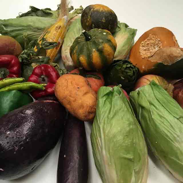 VEG, Assorted Large, VEG0002 - Assorted Small & VEG0006 - VEG, Box Lot 