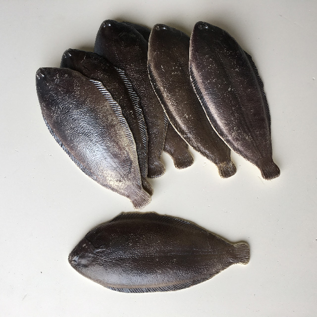 SEAFOOD, Artificial - Flathead (Fish)