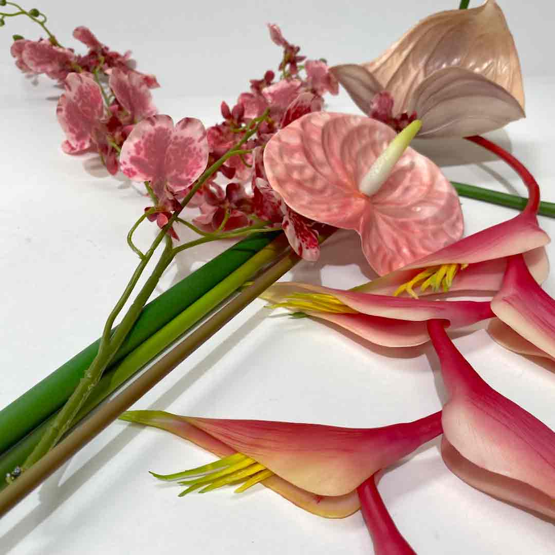 FLOWER, Tropical Assorted