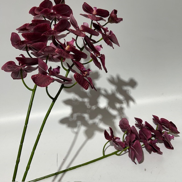 FLOWER, Burgundy Long Stem Orchid 92cmL