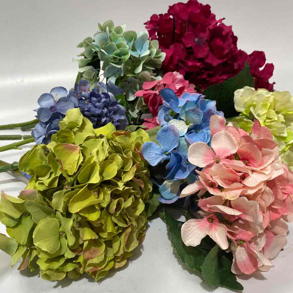 FLOWER, Hydrangea - Assorted Colours