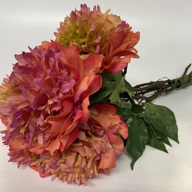 FLOWER, Peony - Orange Coral