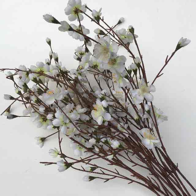 FLOWER, Blossom - White
