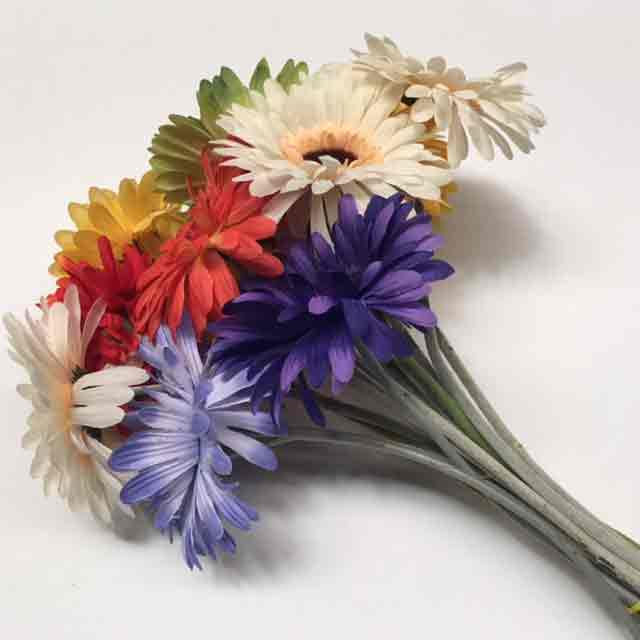 FLOWER, Gerbera - Coloured