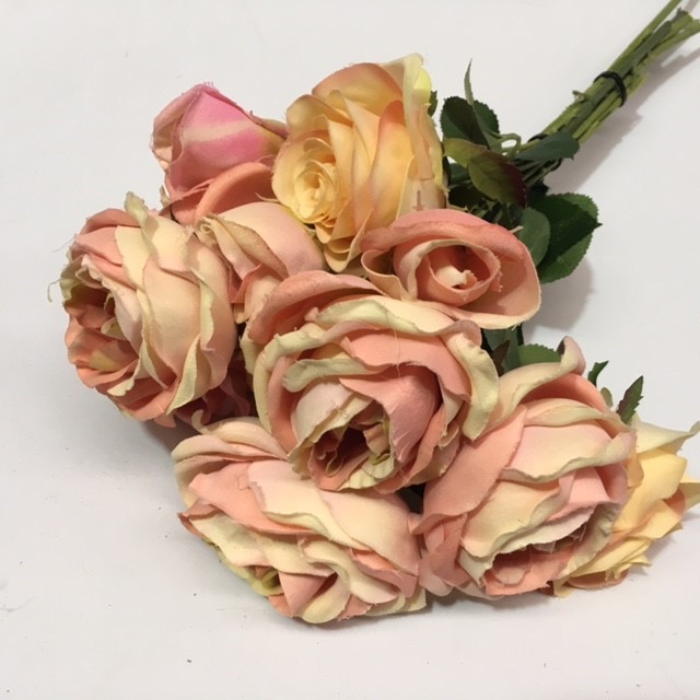 FLOWER, Rose - Soft Pink