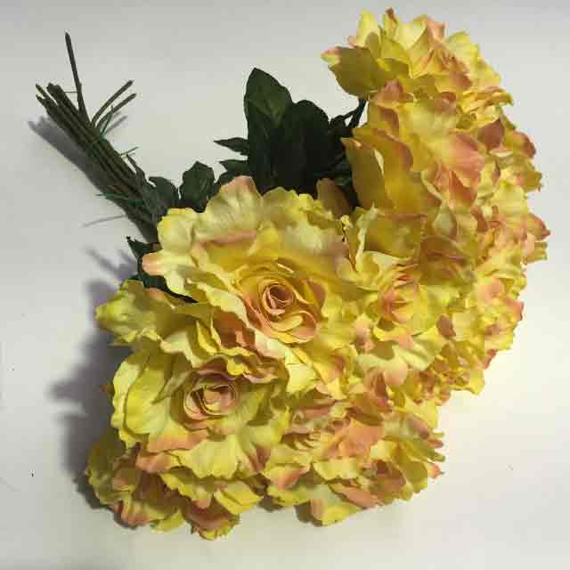 FLOWER, Rose - Yellow Blush