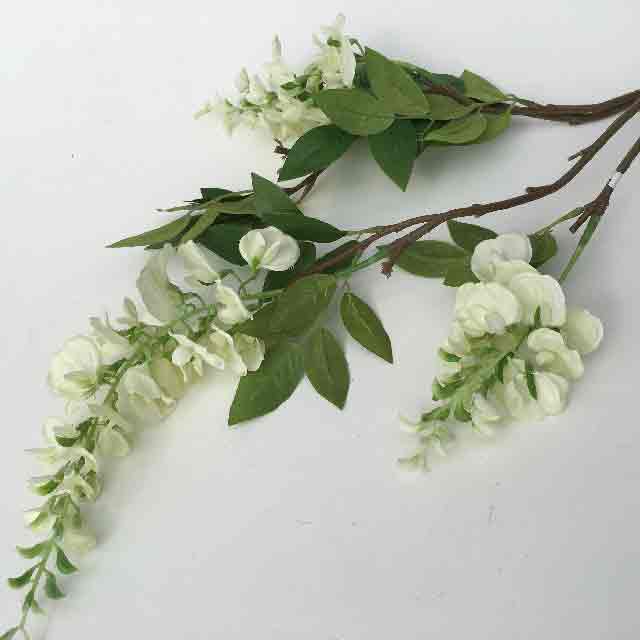FLOWER, Wisteria - White