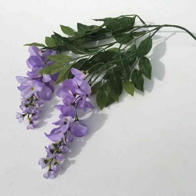 FLOWER, Wisteria - Mauve