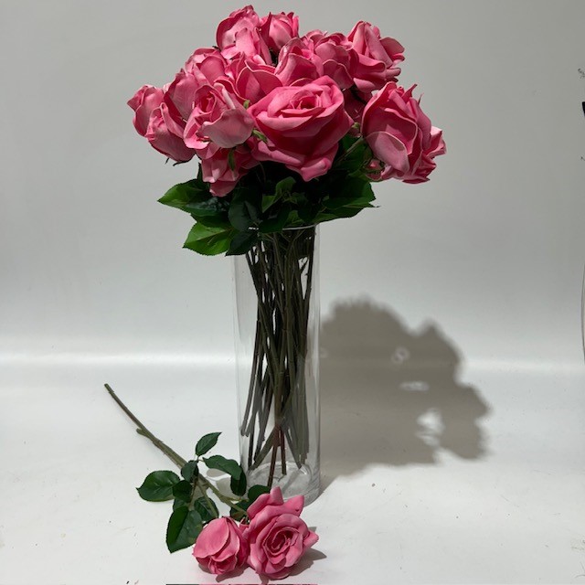 ROSES, Pink Long Stem
