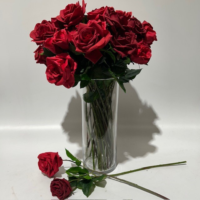 ROSES, Red Long Stem