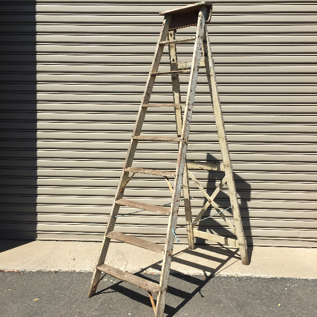 LADDER, White Wash Stepladder Tall 2.4m H