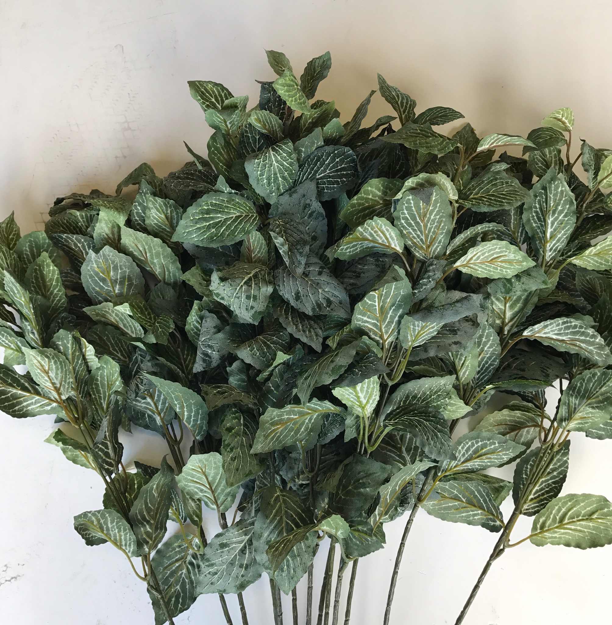 GREENERY, Fittonia Spray 70cm
