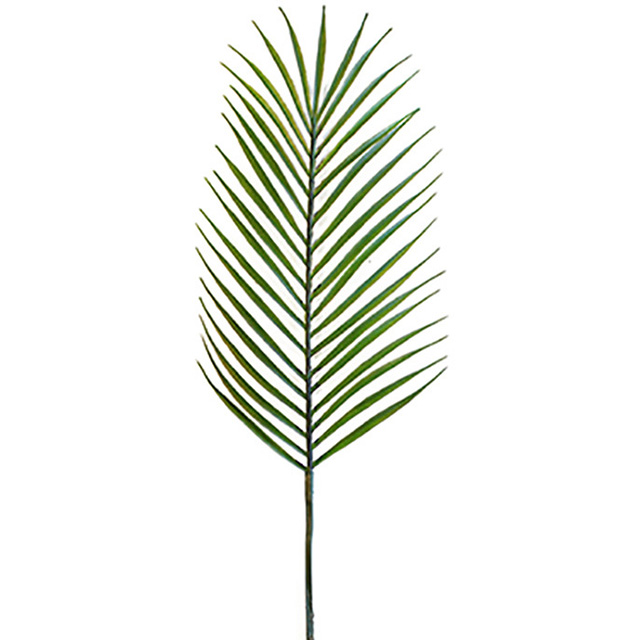FOLIAGE, Palm Leaf - 74cm