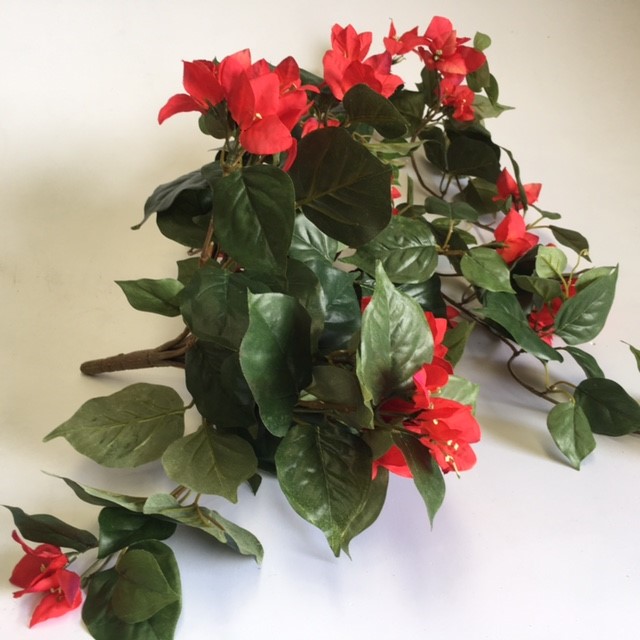 FLOWER SPRAY, Bougainvillea - Red
