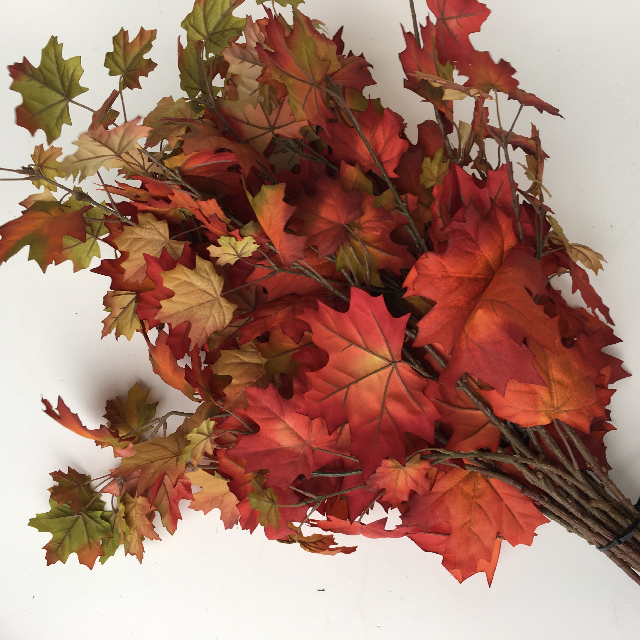 FOLIAGE, Autumn Spray - Liquid Amber