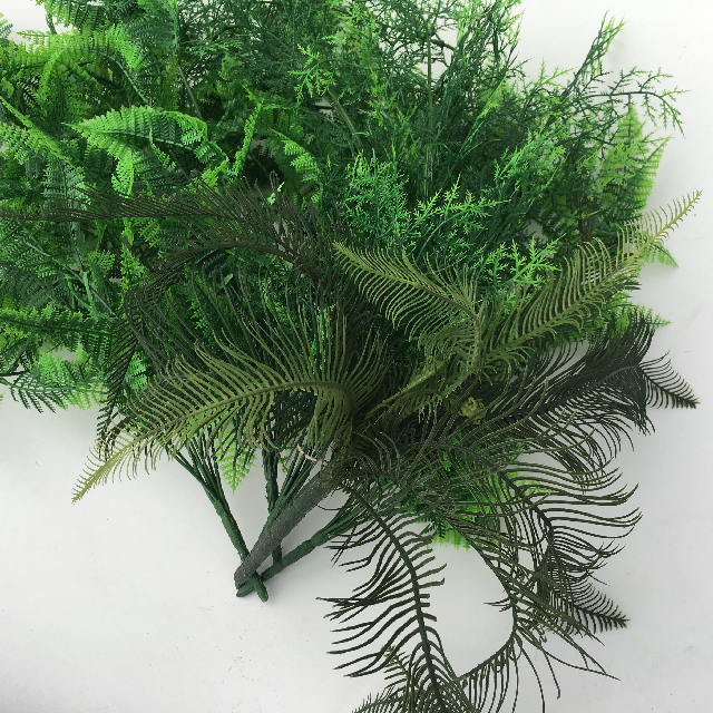 GREENERY, Ferns Assorted