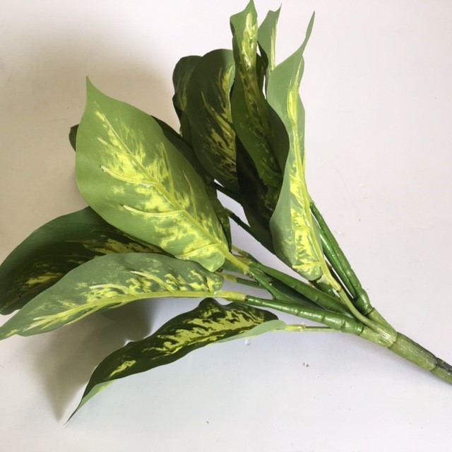 GREENERY, Lush Dieffenbachia - 40cm Spray