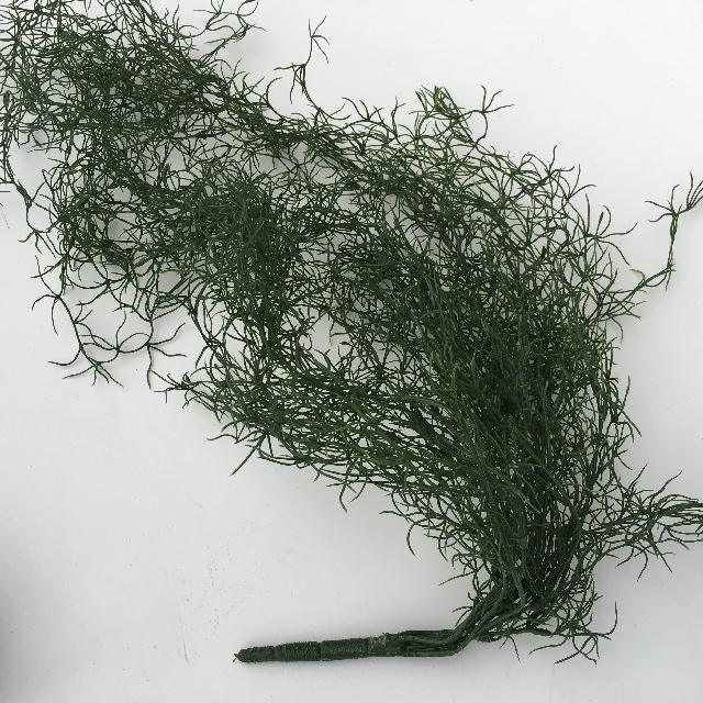 GREENERY, Trailing Spray