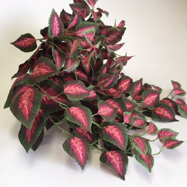 GREENERY, Variegated Spray - Green Pink