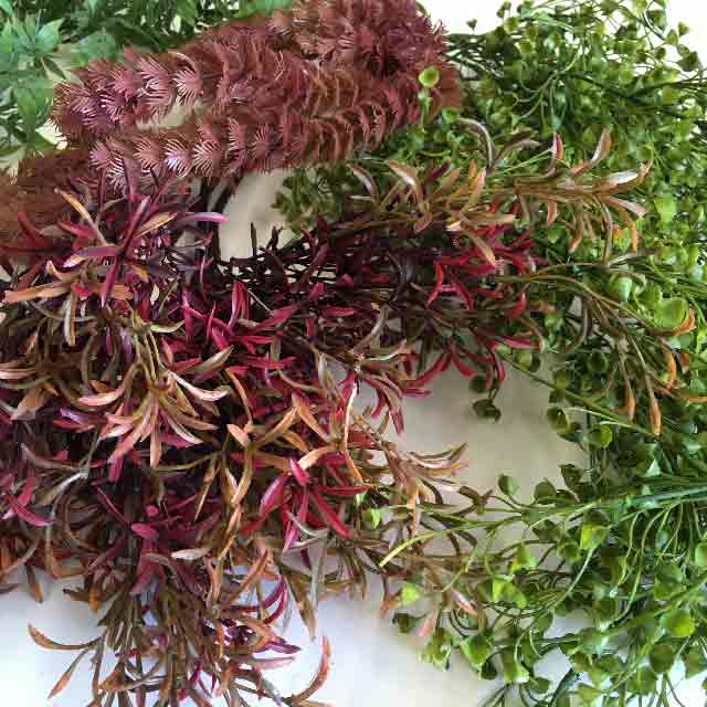 SEAWEED, Assorted