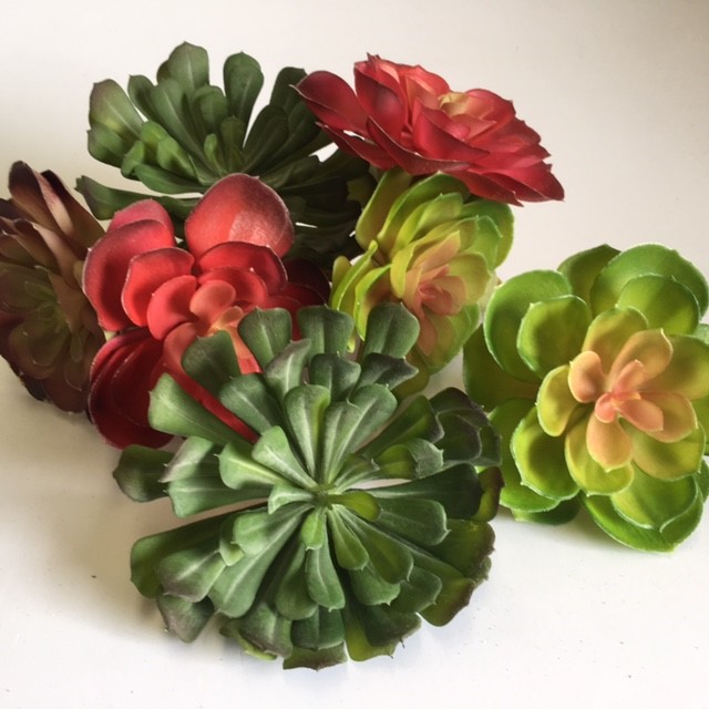 GREENERY, Succulent - Assorted