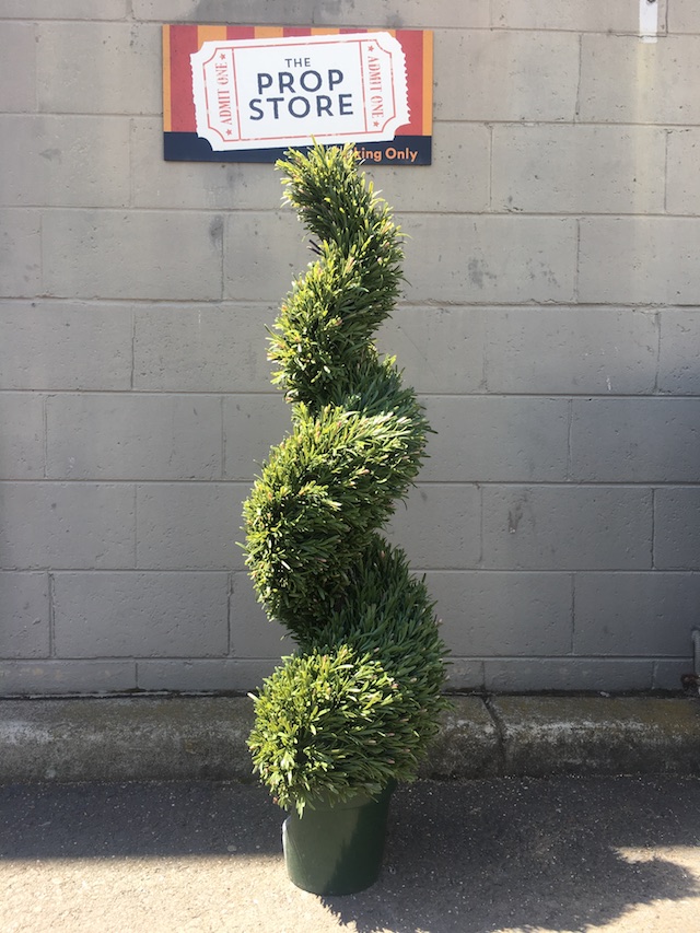 GREENERY, Topiary - Rosemary Spiral - 120cm H / GRE0069 - Rosemary Spiral - 150cm H 