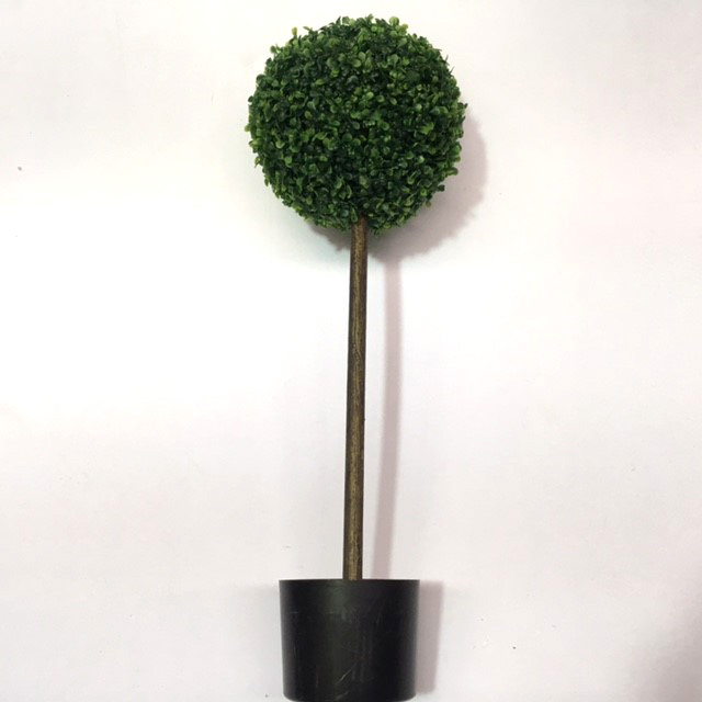 GREENERY, Topiary - Boxwood Single Ball Tree - 80cm H