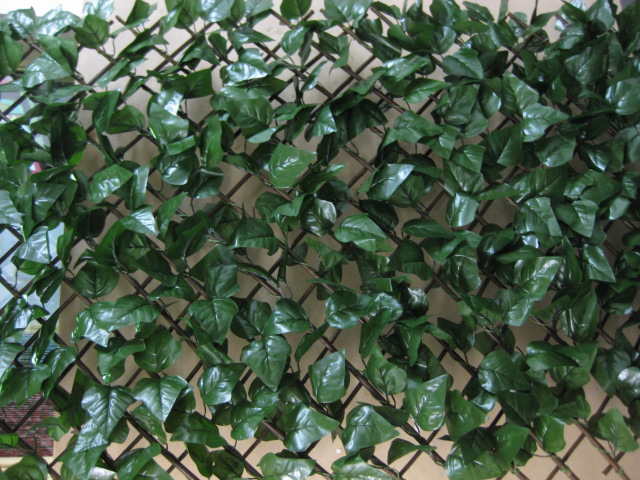 GREENERY, Ivy Trellis 1m x 2m