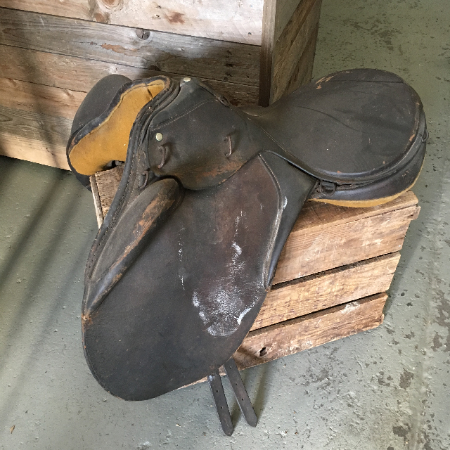 SADDLE, Stock