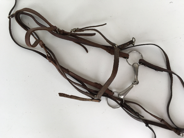 SADDLERY, Bridle