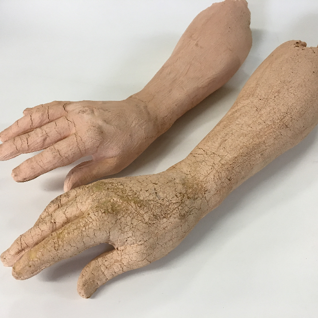 BODY PARTS, Hand & Arm - Latex & Foam