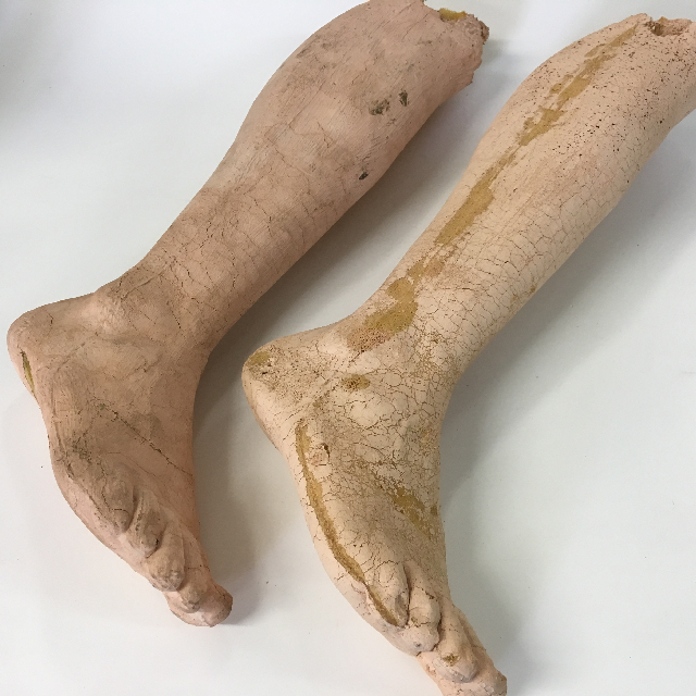 BODY PARTS, Lower Leg & Foot - Latex & Foam