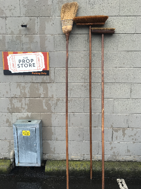 BROOM, Ex Long Handle Assorted