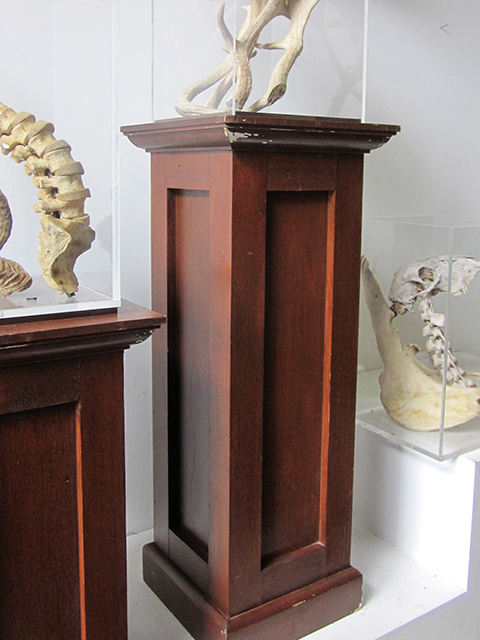 PLINTH, Stained Timber 39 x 39 x 100cm H