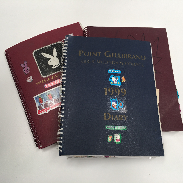 DIARY, School (Contemporary)