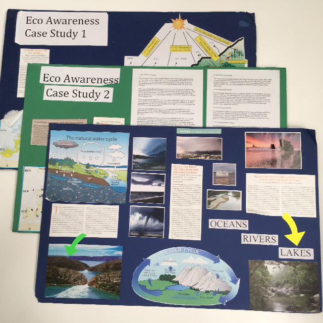 PROJECT, School Assignment On Foam Core