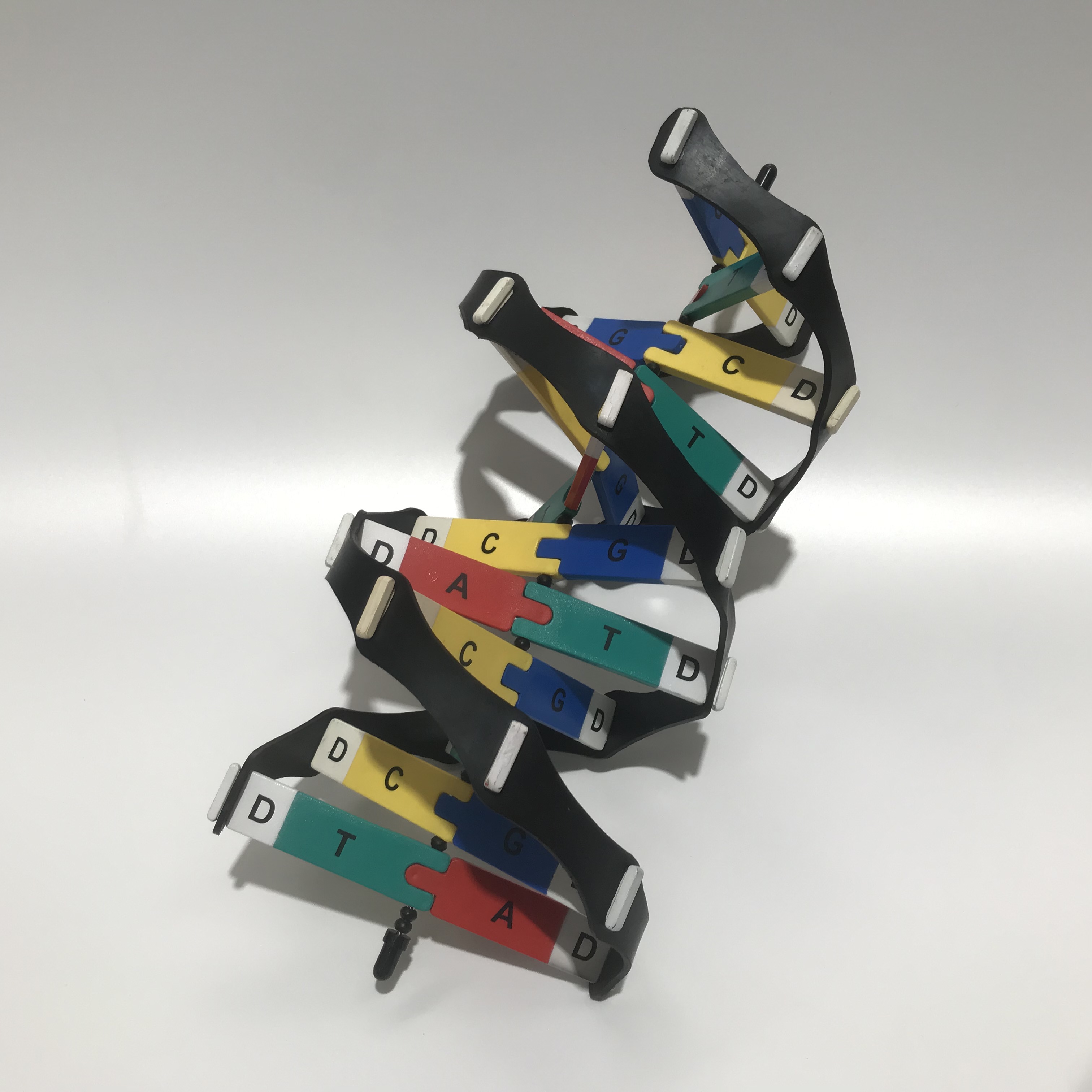 SCIENCE , DNA Model 39cmH x 17cmW