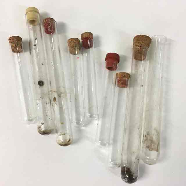 TEST TUBE, Single Vintage w Cork Stopper