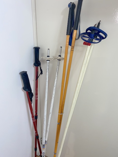 SKI POLES, Pair Contemp Assorted