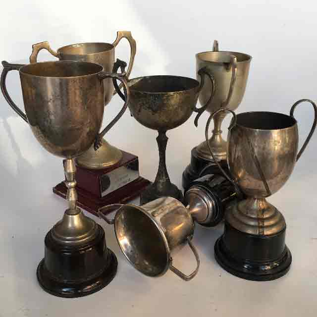 Awards and Trophies